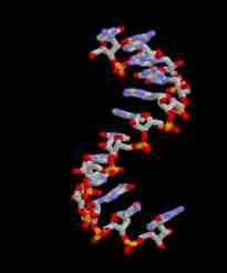 Nuovo approccio per svelare le molteplici strutture dell'Rna  