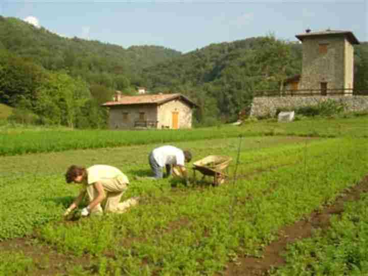 Agricoltura: Callari, verso accordo Fvg-Carinzia su vicinie