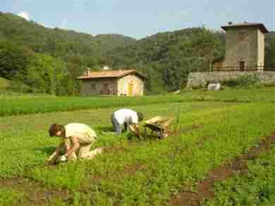 AGRICOLTURA 4.0 CON DRONI, BIG DATA E INTERNET DELLE COSE