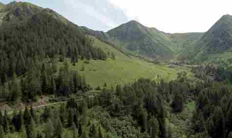 Foreste: Zannier, patrimonio boschivo bene da gestire consapevolmente