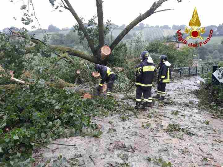 Maltempo: Confidi Friuli, commissioni dimezzate per imprese  