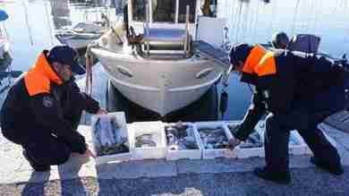 Controlli su pesce, in 2019 sequestrati 200kg a Porto Nogaro 