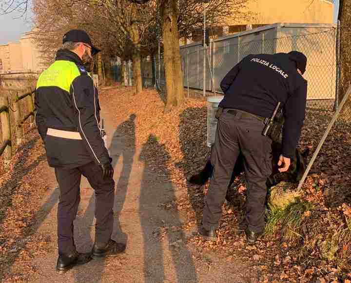 Lotta allo spaccio nel Portogruarese: l'unità cinofila al servizio della sicurezza 